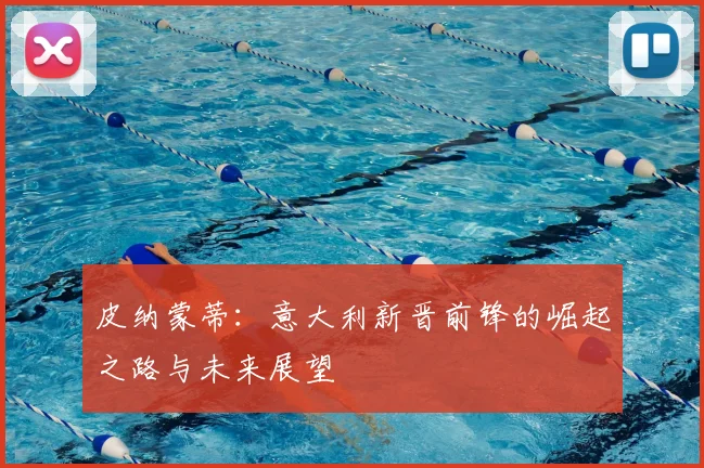 皮纳蒙蒂：意大利新晋前锋的崛起之路与未来展望