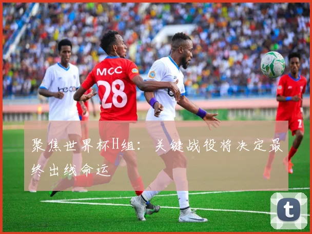 聚焦世界杯H组:关键战役将决定最终出线命运