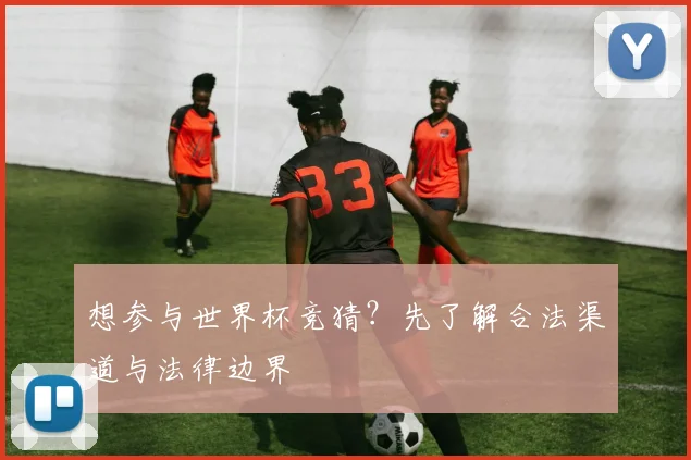想参与世界杯竞猜？先了解合法渠道与法律边界