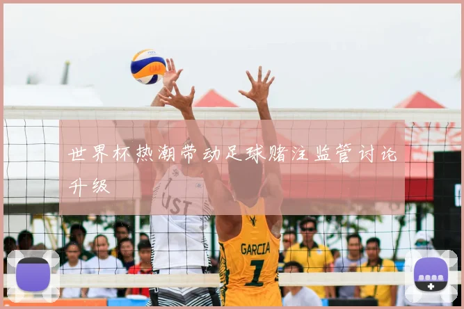 世界杯热潮带动足球赌注监管讨论升级