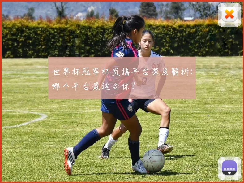 世界杯冠军杯直播平台深度解析：哪个平台最适合你？