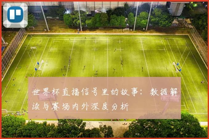 世界杯直播信号里的故事：数据解读与赛场内外深度分析