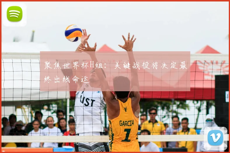 聚焦世界杯H组：关键战役将决定最终出线命运