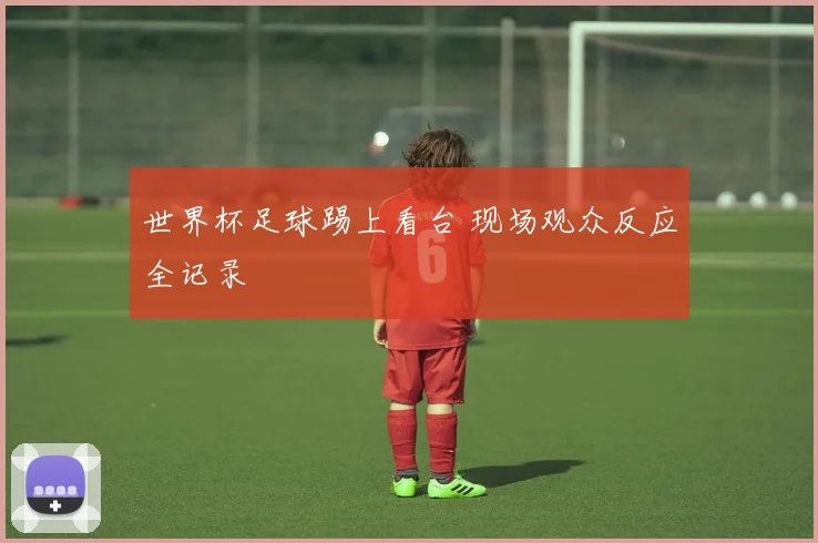 世界杯足球踢上看台 现场观众反应全记录