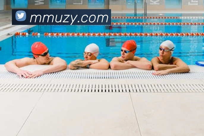 App Interface Preview